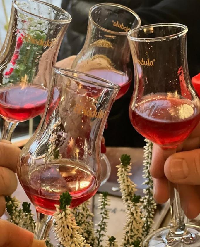 Rezydencja Bialy Jar Karpacz Εξωτερικό φωτογραφία